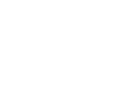 LOGO EMS
